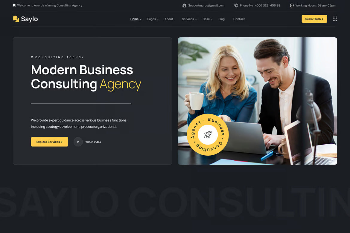 Saylo - Finance & Consulting WordPress Theme