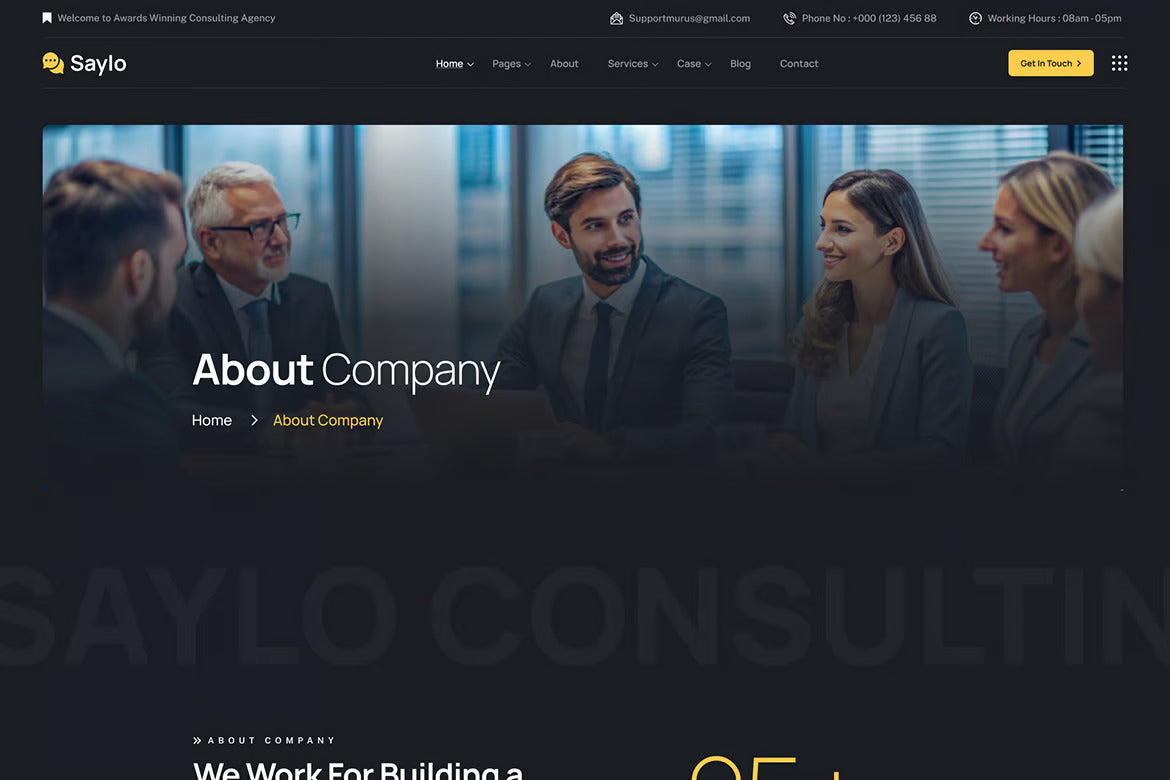 Saylo - Finance & Consulting WordPress Theme