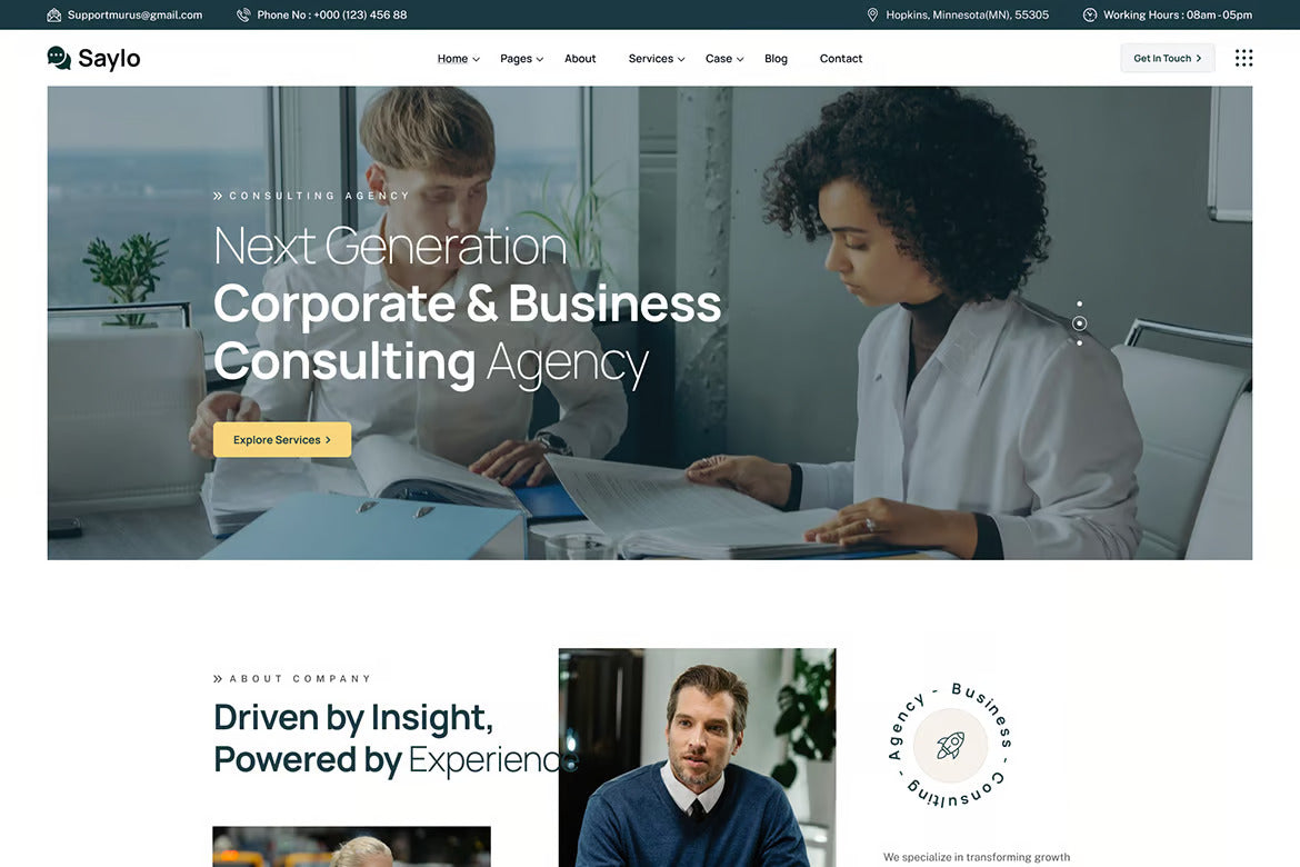 Saylo - Finance & Consulting WordPress Theme